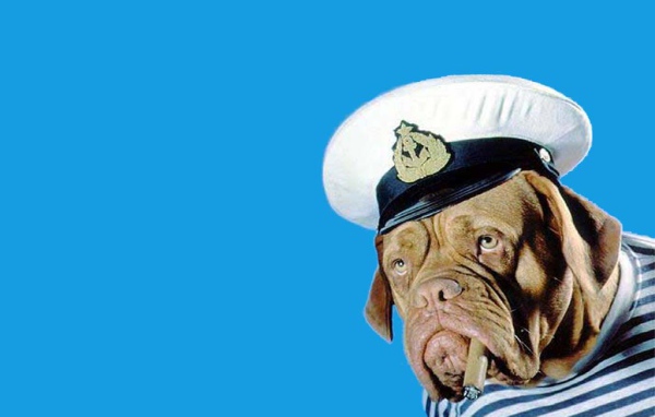 Собака в тельняшке