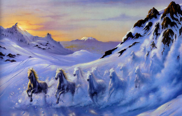 Лошади зимой