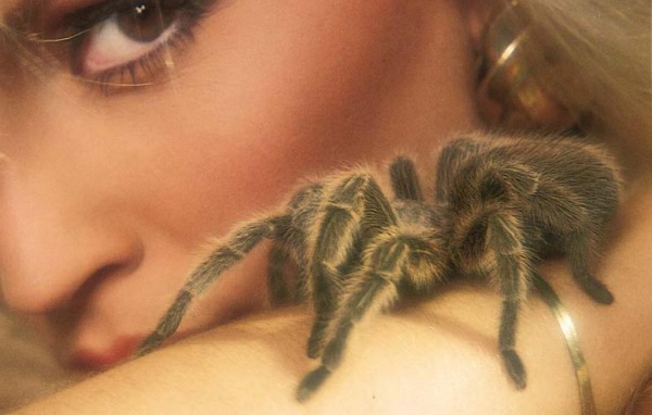 Паук на теле