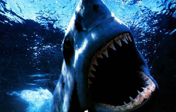 Пасть акулы