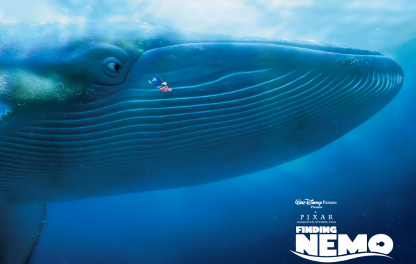 В поисках Немо