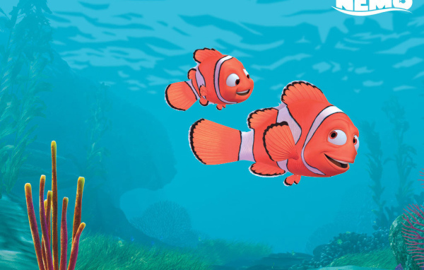 Немо рыба