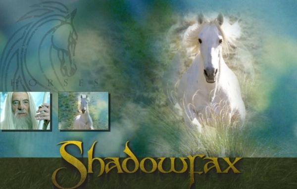 Властелин колец