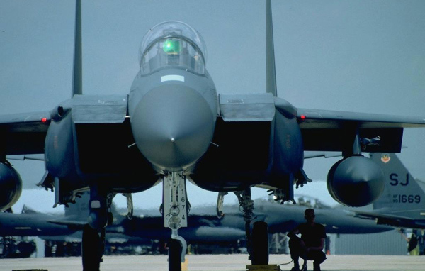 Крылатые воины