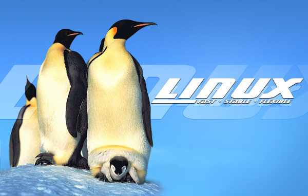 Пингвины Linux