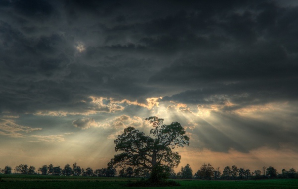 Перед  штормом