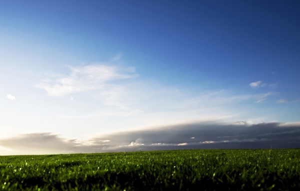 Зеленые поля Швеции