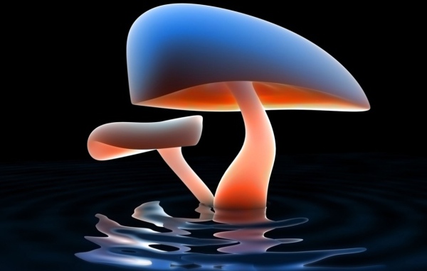 Грибное озеро