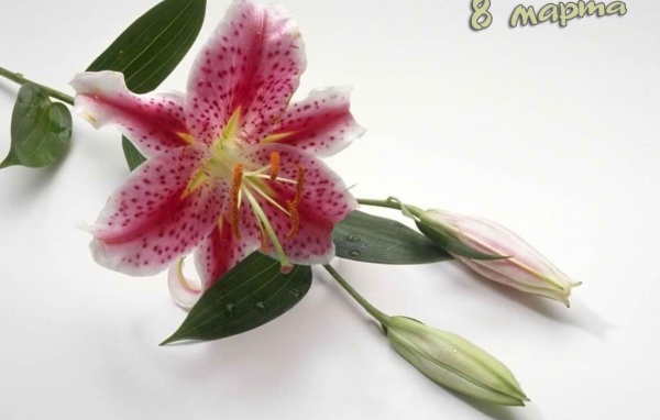 Восьмое марта