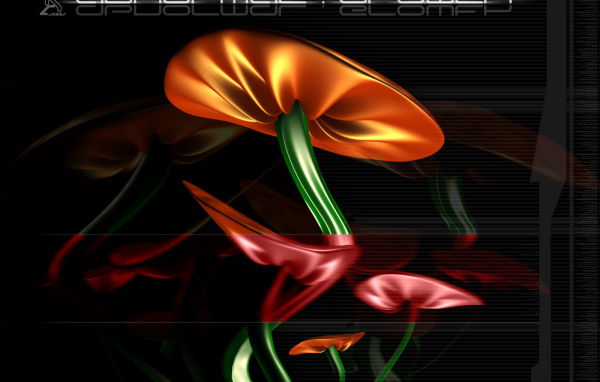 Ненормальный гриб