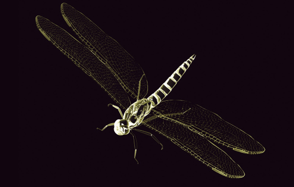 3D стрекоза
