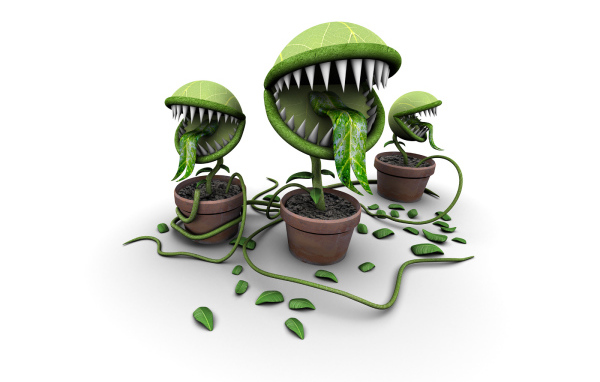 Покорми меня