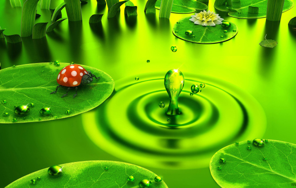 Зелень внизу