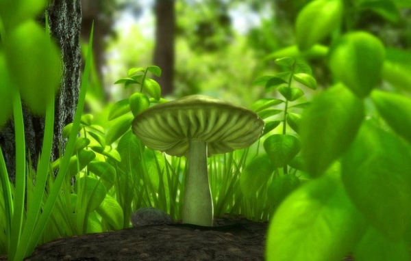 Зеленый гриб