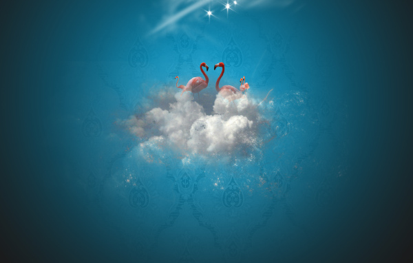Рай фламинго