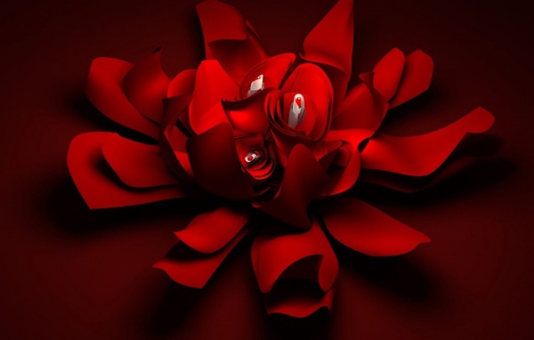 Цветок любви