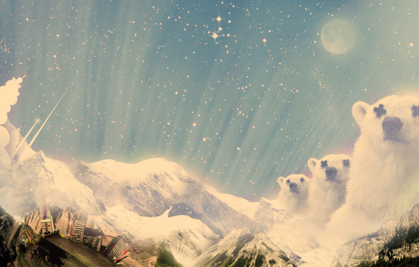 Белые мишки