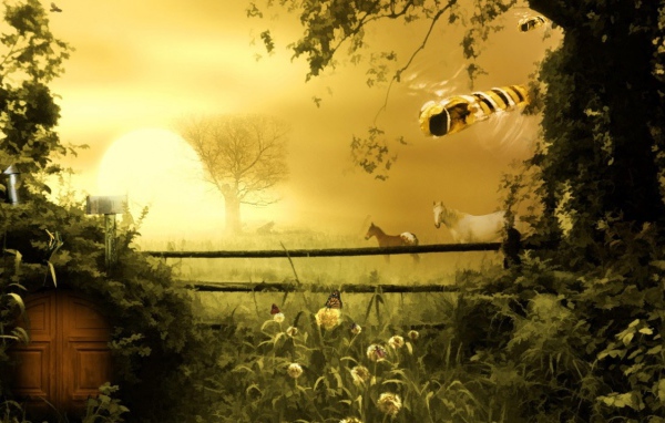 Две лошадки