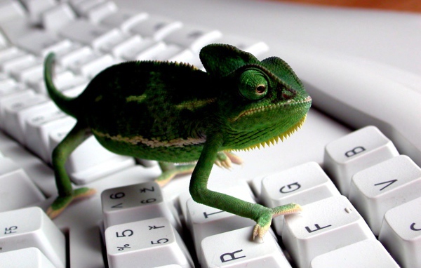 Зеленая рептилия - ящерица