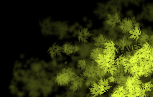 Кленовые листья