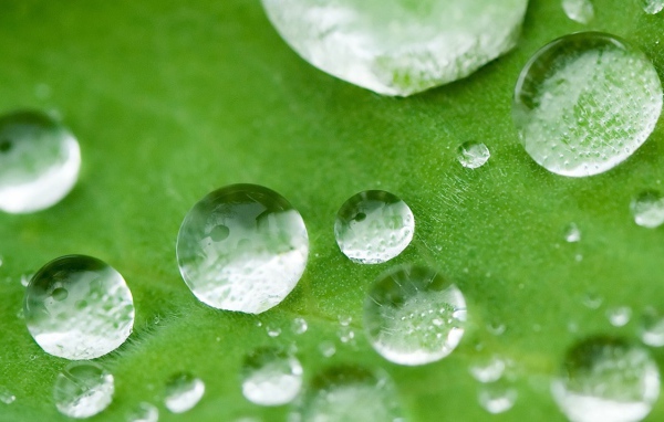 Капли, дождь