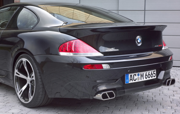 Schnitzer 2006 Вид сзади