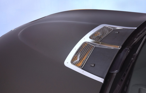 Капот Schnitzer