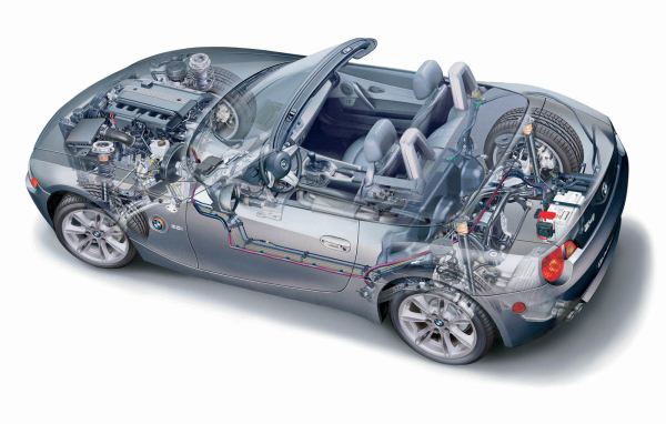 Z4 Organic рисунок