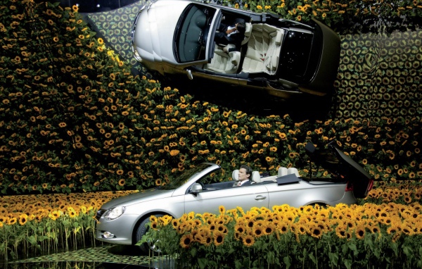 Volkswagen в цветах