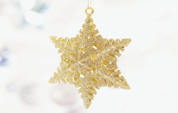 Рождественская звездочка