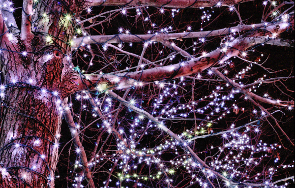 Гирлянды / Рождество