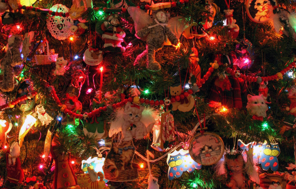 Праздник / Рождество