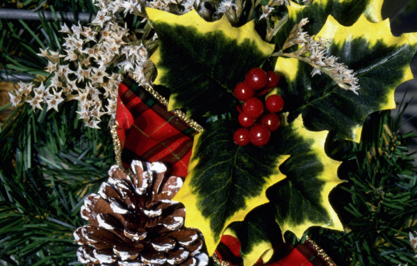 Праздничная ель / Рождество