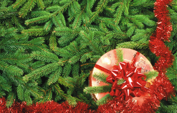 Подарок на Рождество / Рождество