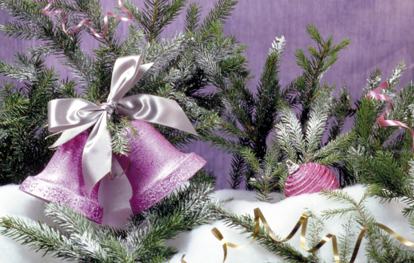 Фиолетовые колокольчики / Рождество