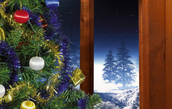 Зима за окном / Рождество