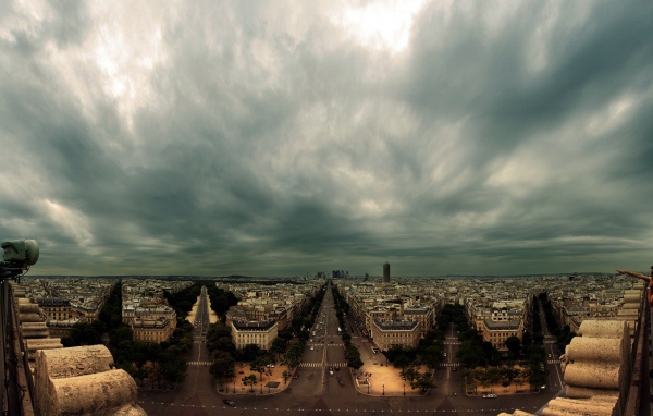 Дикий город