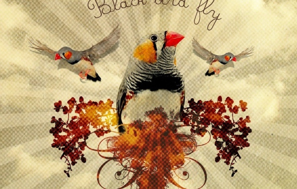 Птица - цветок