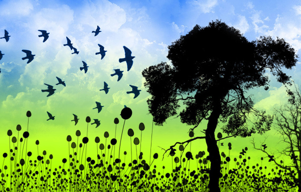 Птицы гордости