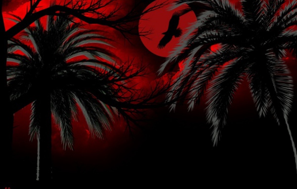 Темная ночь