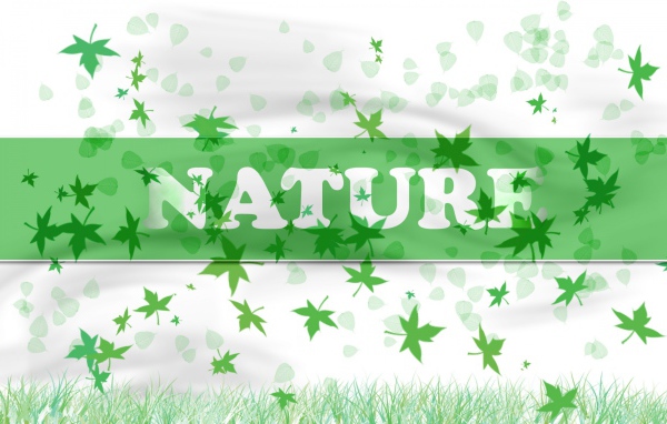 В натуре - природа