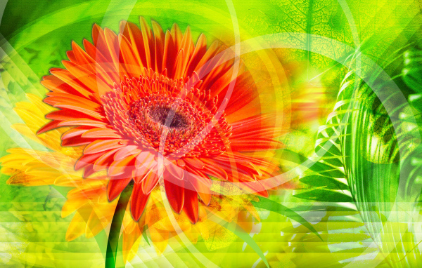 Красное сияние