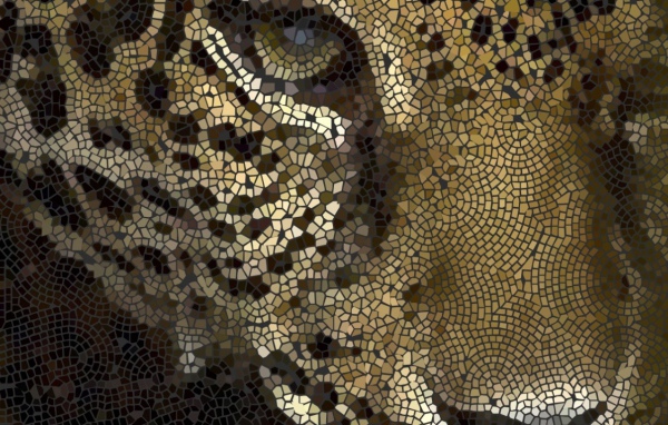 Мозайка леопард