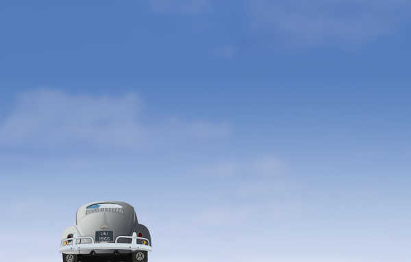 Голубое небо и жук