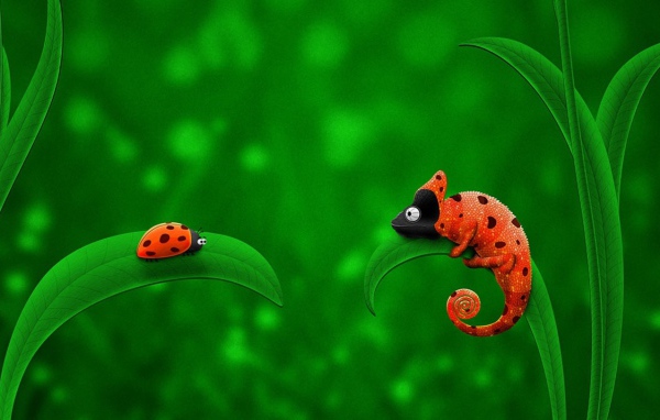 жук и хамелеон