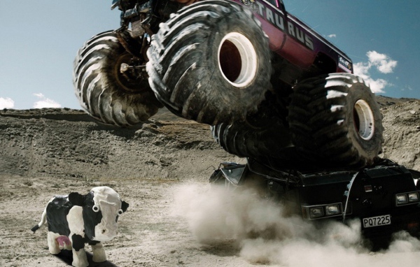 Маленькая коровка