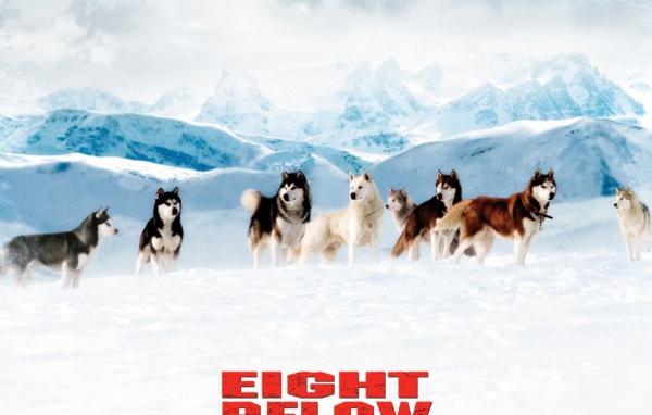 Белый плен / Eight Below