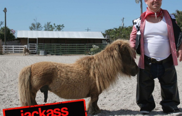 Чудаки 2 / Jackass 2