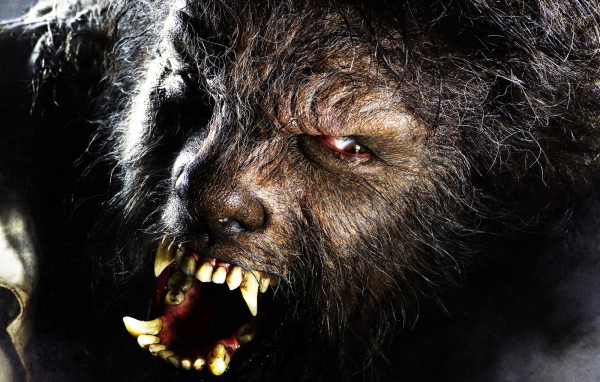 Wolf Man , The