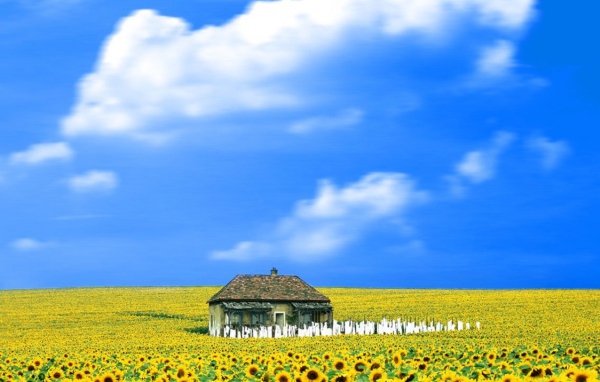 Свет вокруг / Everything Is Illuminated